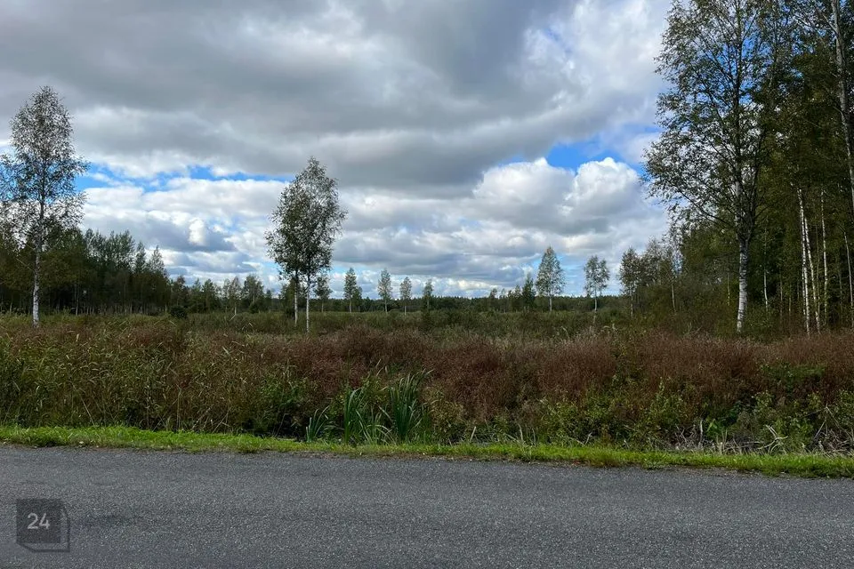Maatulundusmaa, 10047 m² участок в Peipsiääre vald, Kasepää alevik - фото 5