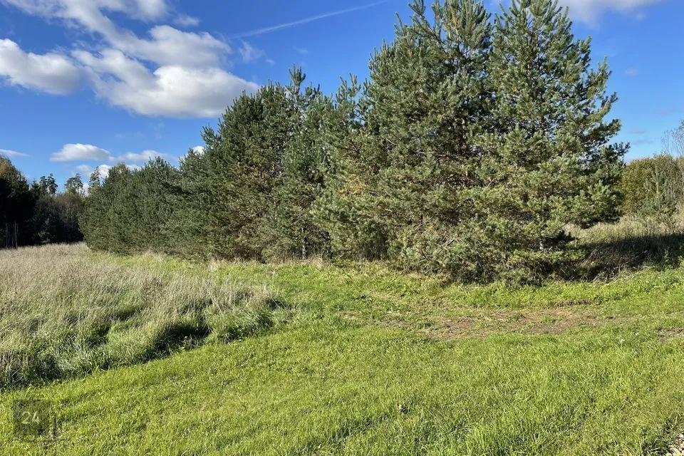 Maatulundusmaa, 163810 m² участок в Tõrva vald, Ala küla - фото 3