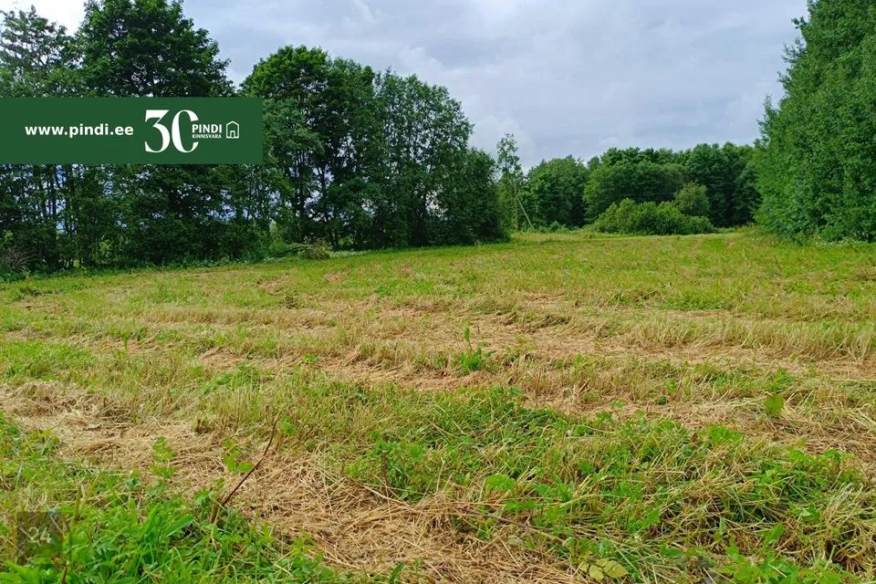 Maatulundusmaa, 7790 m² Maa - Rakvere vald, Raudvere küla - foto 3