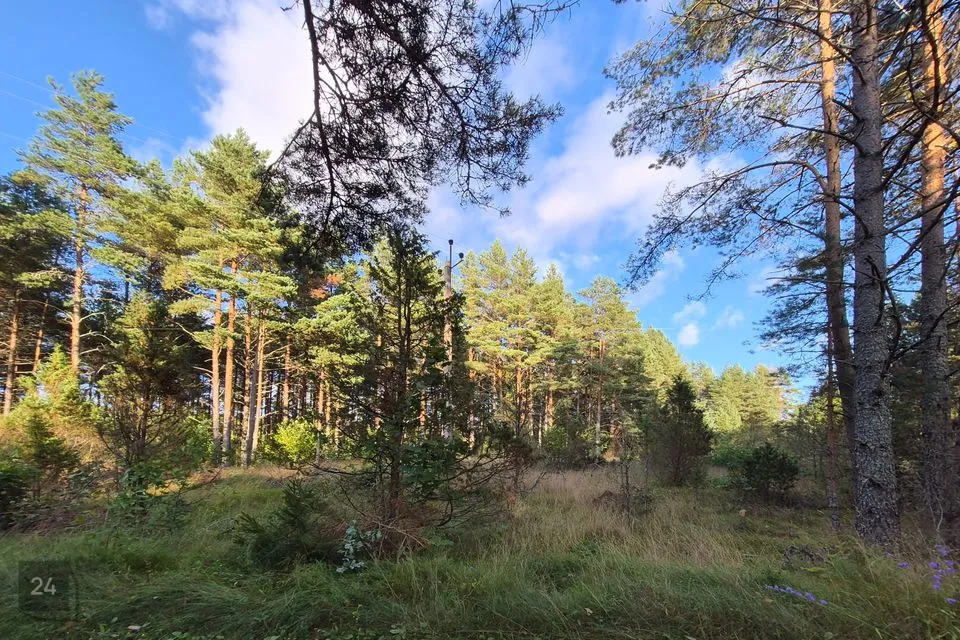 Земля жилой застройки, 14168 m² участок в Lääne-Nigula vald, Variku küla - фото 2