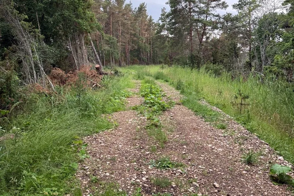 Elamumaa, 60000 m² Maa - Hiiumaa vald, Mudaste küla - foto 2