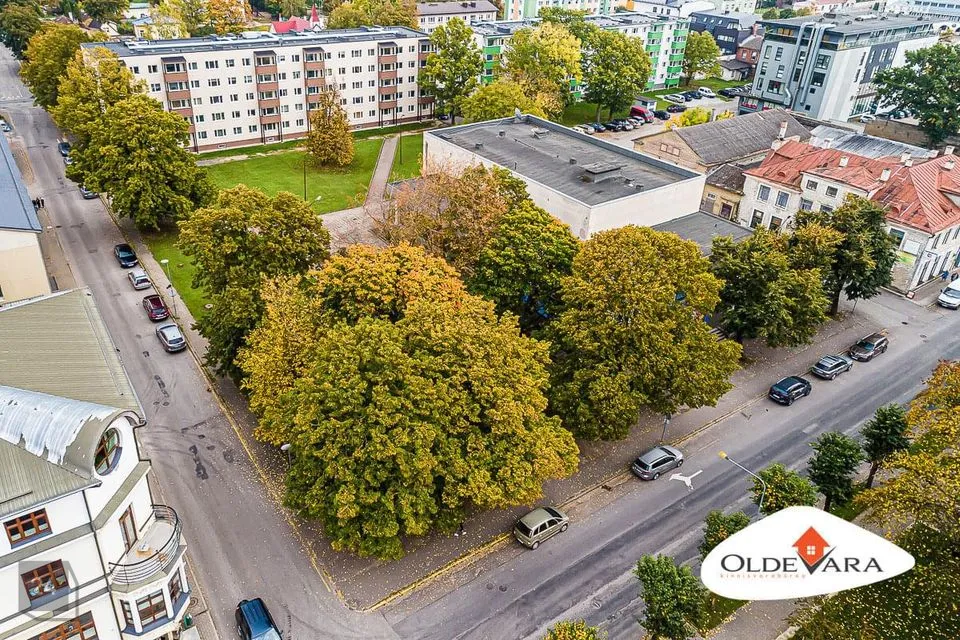 1177 m² Äripind - Rakvere linn - foto 2