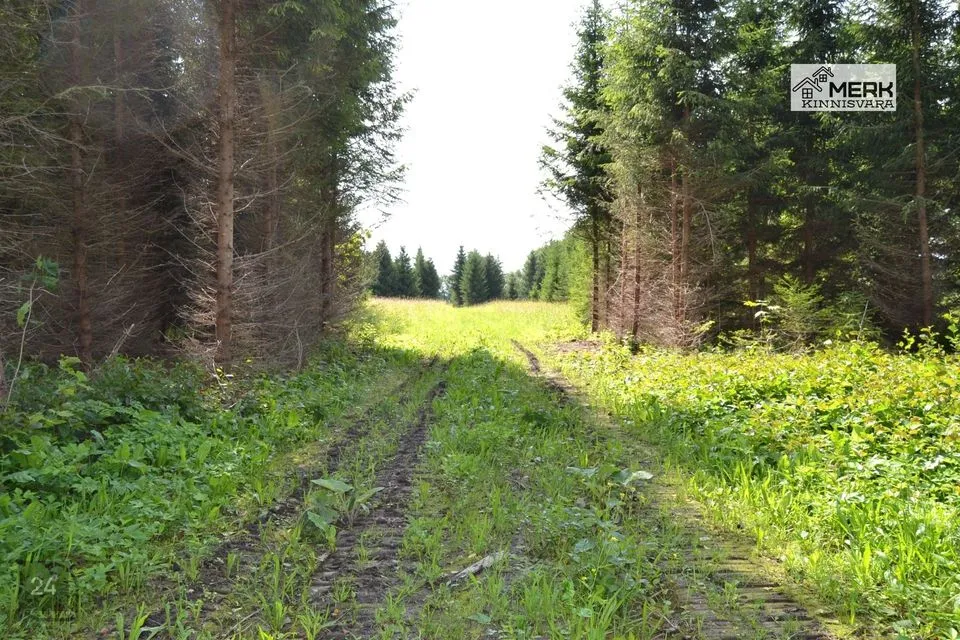 Maatulundusmaa, 25051 m² Maa - Kose vald, Lutsu küla - foto 5