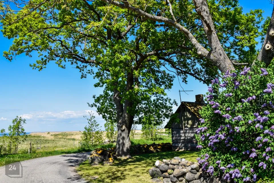 9-toaline Maja  -  Kihnu vald, Sääre küla - foto 3