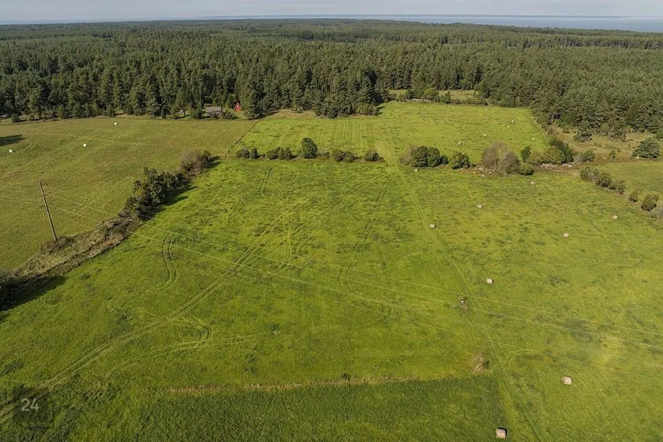 Maatulundusmaa, 12766 m² Maa  -  Saaremaa vald, Meiuste küla - foto 5
