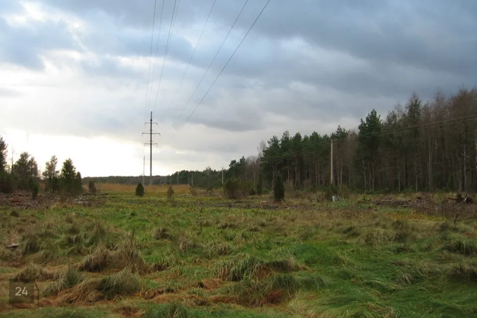 Elamumaa, 7588 m² Maa  -  Hiiumaa vald, Luguse küla - foto 2