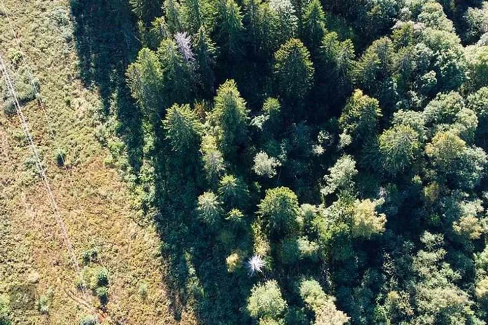 Elamumaa, 24300 m² Maa  -  Kuusalu vald, Loksa küla - foto 4