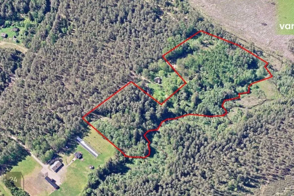 Maatulundusmaa, 41168 m² Maa  -  Saarde vald, Saarde küla