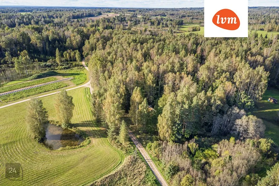 Maatulundusmaa, 6918 m² Maa  -  Otepää vald, Pringi küla - foto 2