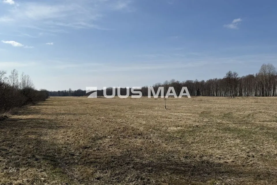 Cultivated land, 34985 m² land in Saaremaa vald, Oitme küla