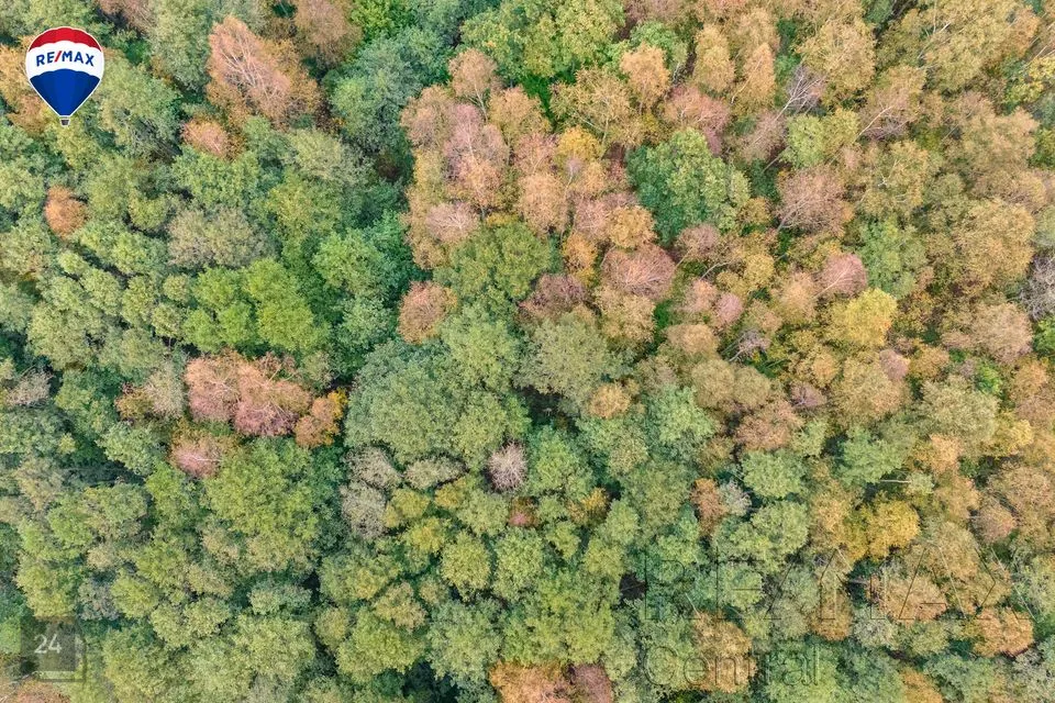 Maatulundusmaa, 16899 m² Maa  -  Hiiumaa vald, Leisu küla - foto 3