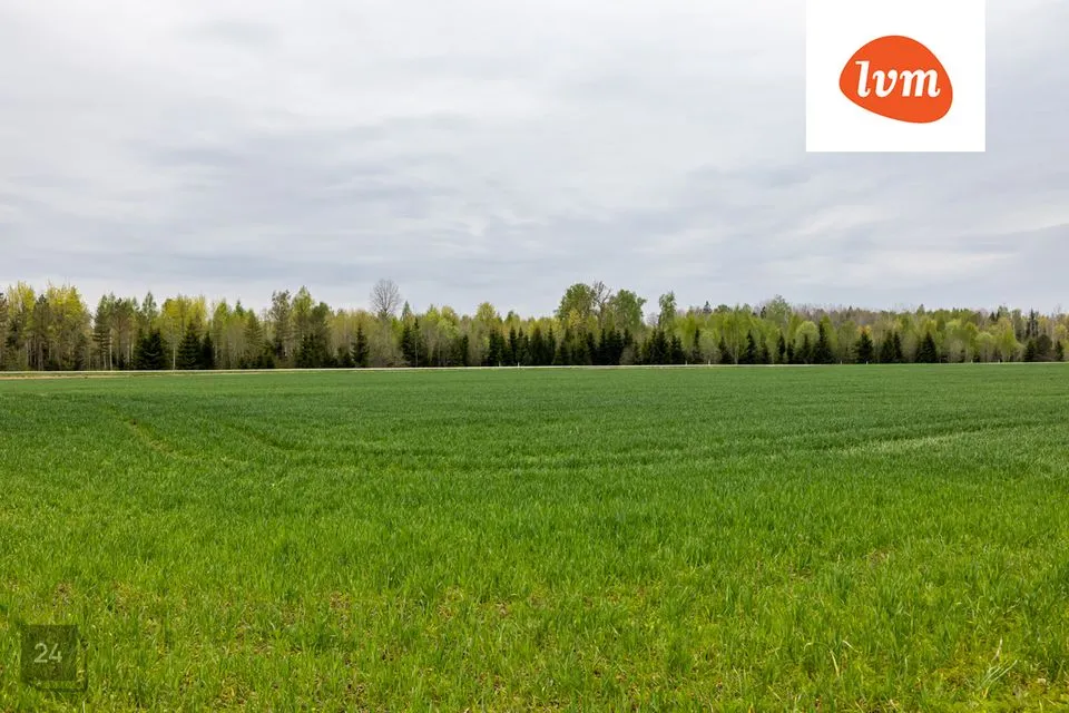 Maatulundusmaa, 12123 m² Maa  -  Rapla vald, Juuru alevik - foto 2