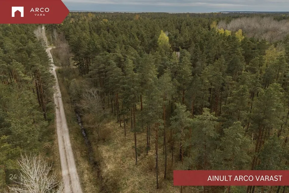 Elamumaa, 4904 m² Maa  -  Saaremaa vald, Mändjala küla - foto 4