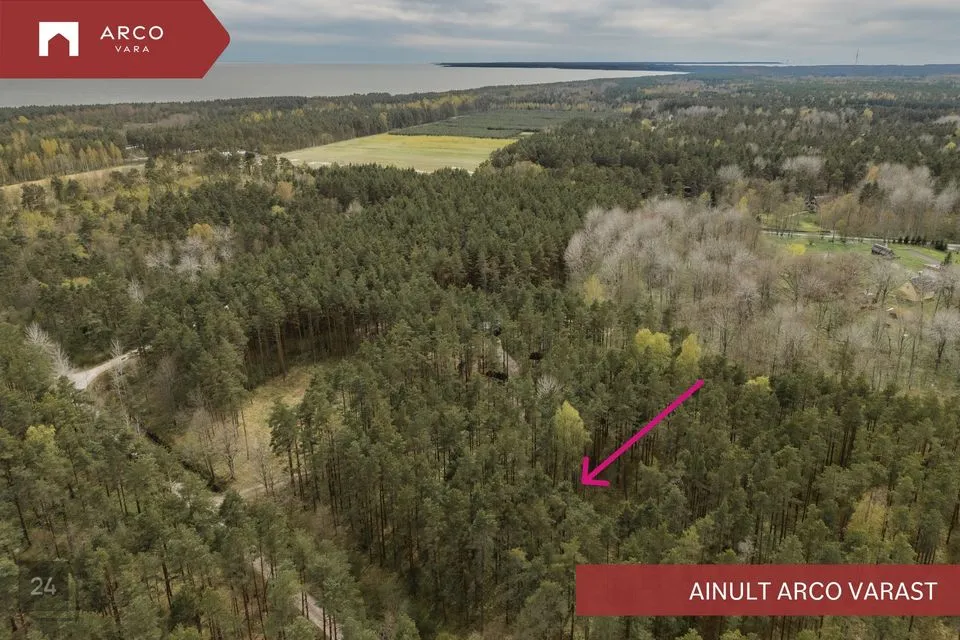 Elamumaa, 4904 m² Maa  -  Saaremaa vald, Mändjala küla