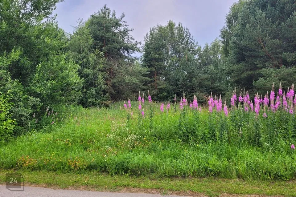 Elamumaa, 3660 m² Maa  -  Kuusalu vald, Sõitme küla - foto 2