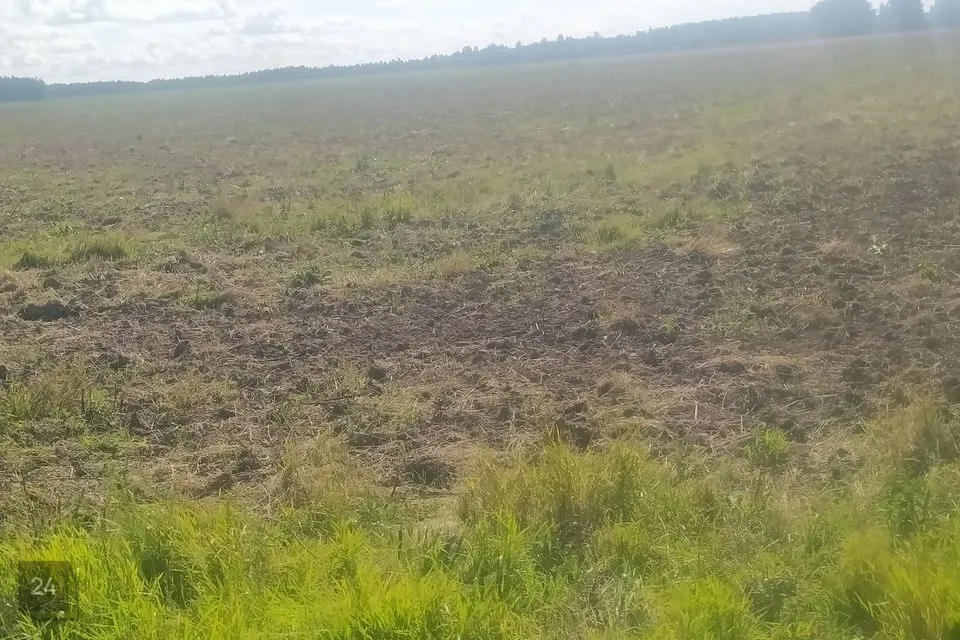 Maatulundusmaa участок в Kambja vald, Reola küla - фото 3