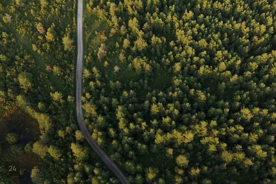 Maatulundusmaa, 75791 m² Maa  -  Lääneranna vald, Virtsu alevik - foto 5