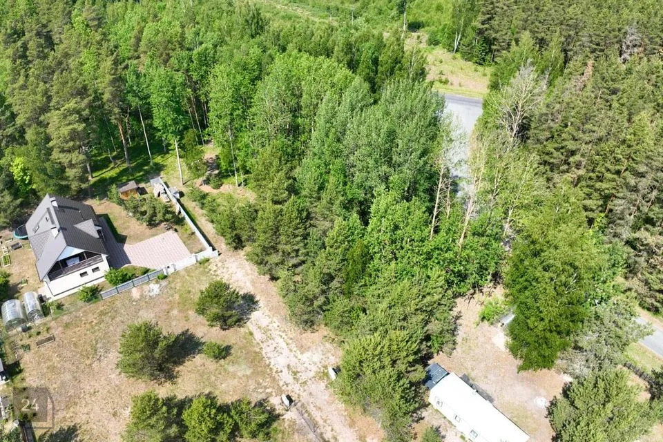 Elamumaa, 1045 m² Maa  -  Alutaguse vald, Karjamaa küla - foto 5