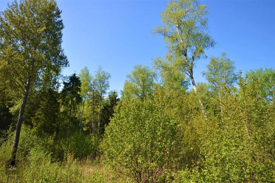 95000 m² участок в Saue vald, Lehetu küla
