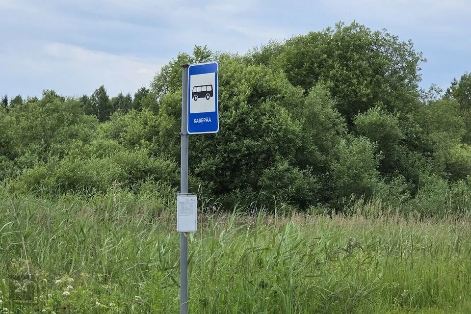 Maatulundusmaa, 2540 m² Maa - Peipsiääre vald, Kasepää alevik - foto 5