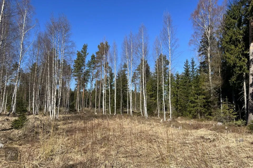 Elamumaa, 2480 m² Maa - Saku vald, Roobuka küla - foto 2