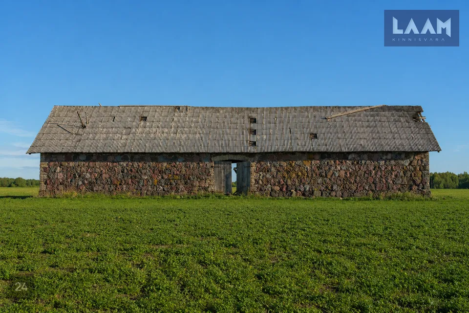 Земля производственного назначения, 11800 m² участок в Paide linn, Viisu küla - фото 2