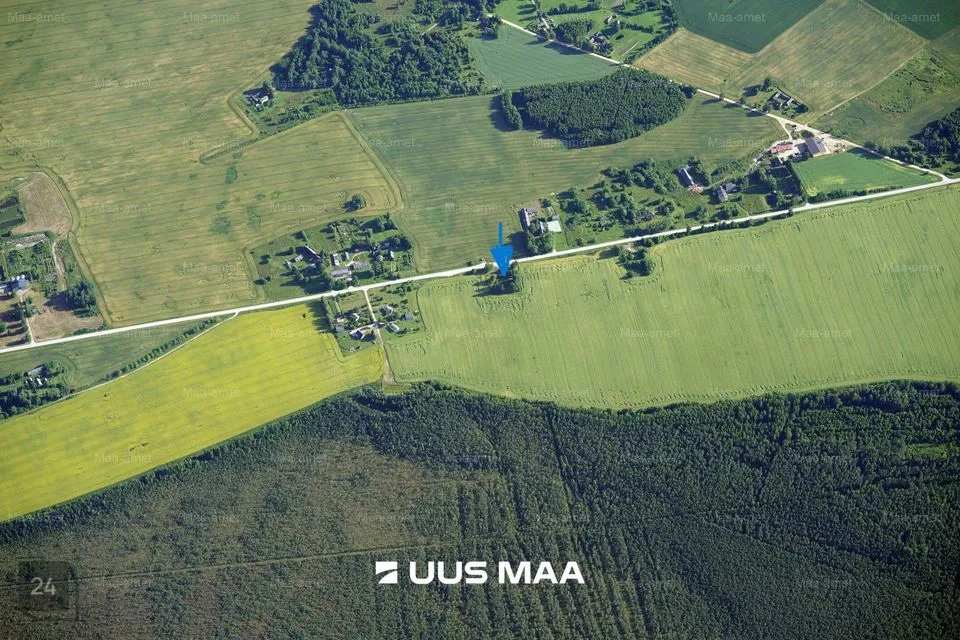 Elamumaa, 4211 m² Maa  -  Räpina vald, Aravu küla - foto 2