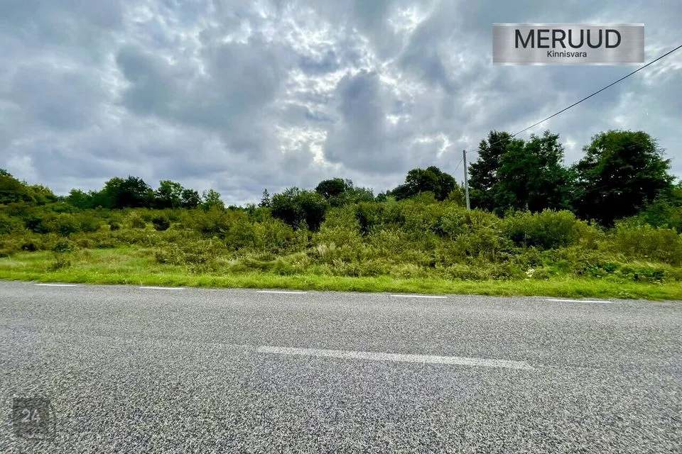 Elamumaa, 4906 m² Maa - Saaremaa vald, Ohessaare küla