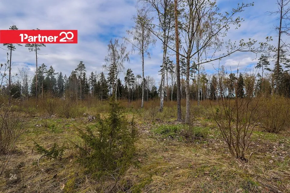 Cultivated land, 17306 m² land in Kohila vald, Urge küla - photo 5