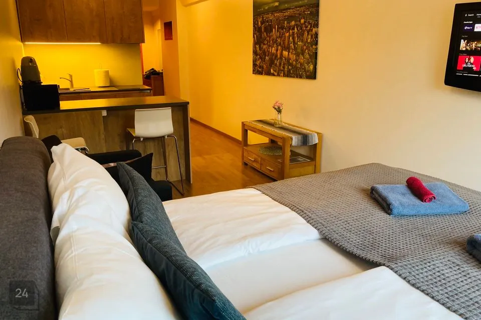 1-toaline Korter  -  Tallinn, Kesklinna linnaosa - foto 2