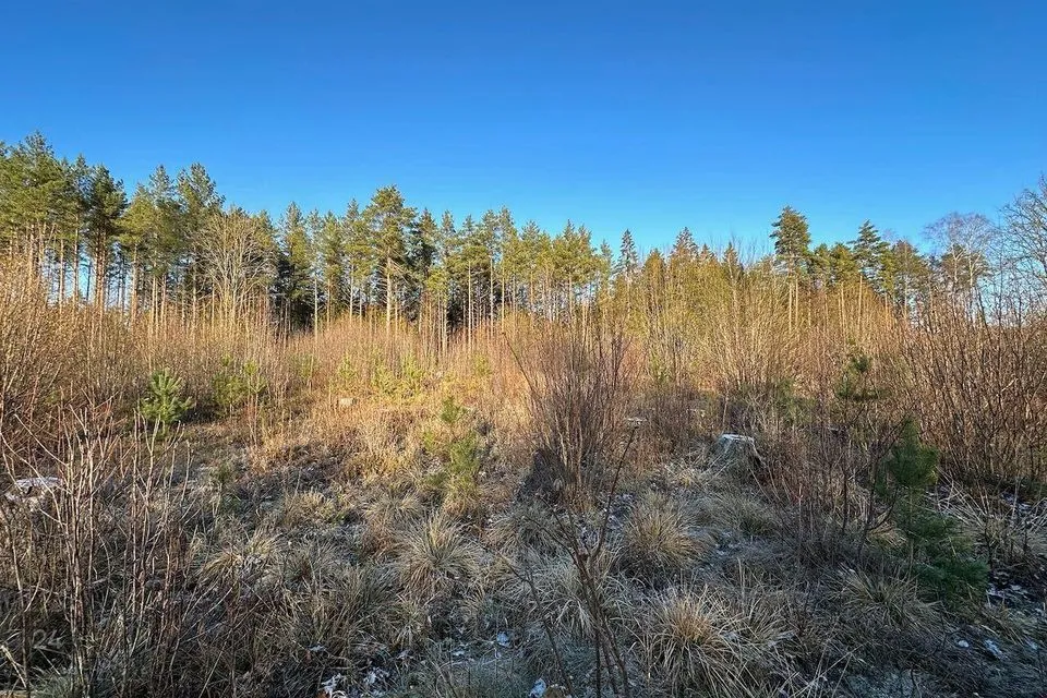 Maatulundusmaa, 62300 m² Maa - Saue vald, Ürjaste küla - foto 2