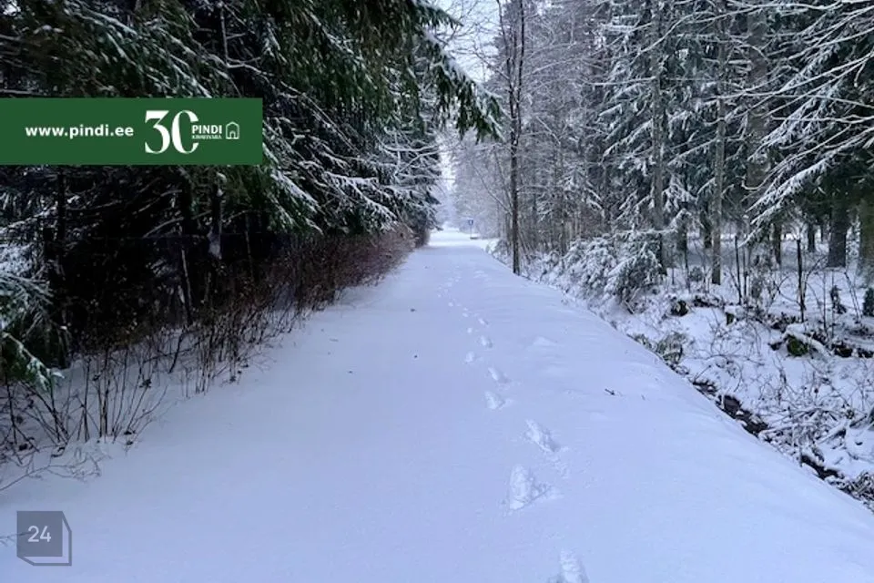 Elamumaa, 4715 m² Maa  -  Narva-Jõesuu linn, Narva-Jõesuu linn - foto 2