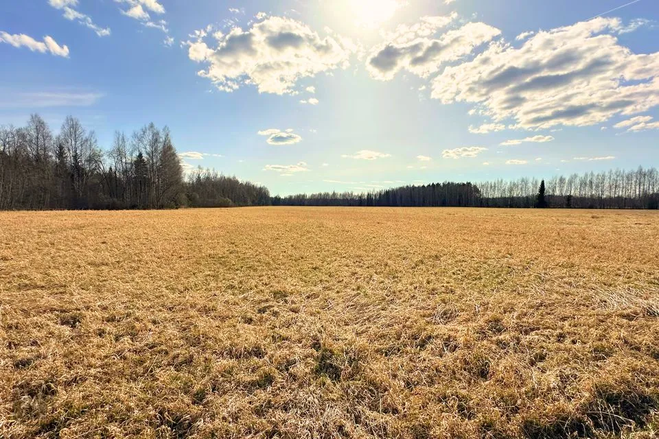 Maatulundusmaa Maa  -  Rapla vald, Kalevi küla - foto 5