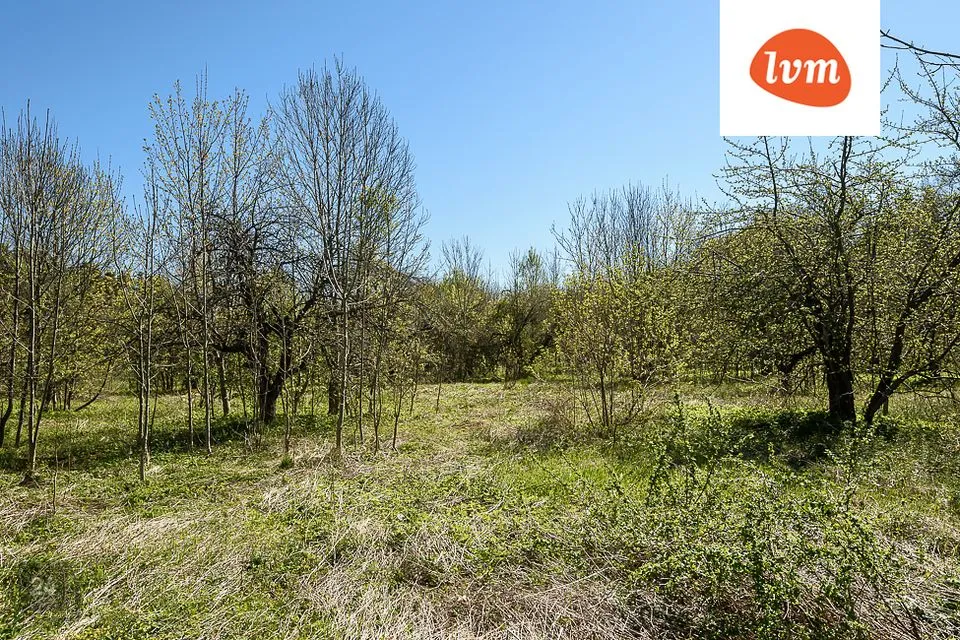 Elamumaa, 10224 m² Maa  -  Saaremaa vald, Kõljala küla - foto 5