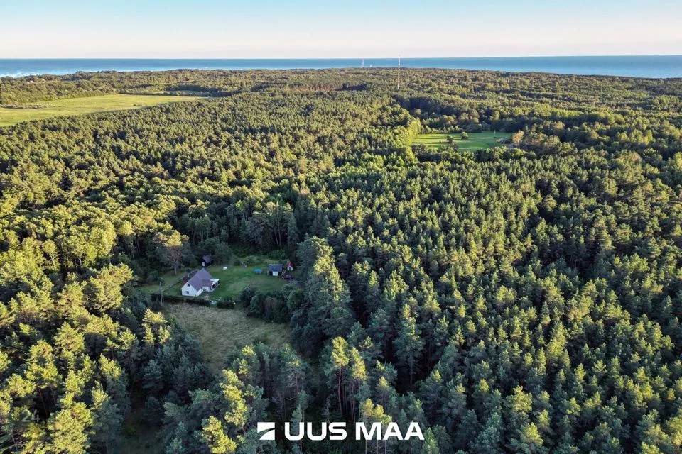 Maatulundusmaa, 3069 m² Maa  -  Kihnu vald, Linaküla - foto 2