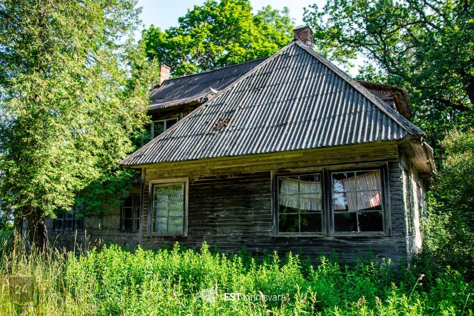 Elamumaa, 23344 m² Maa  -  Mulgi vald, Päidre küla - foto 2