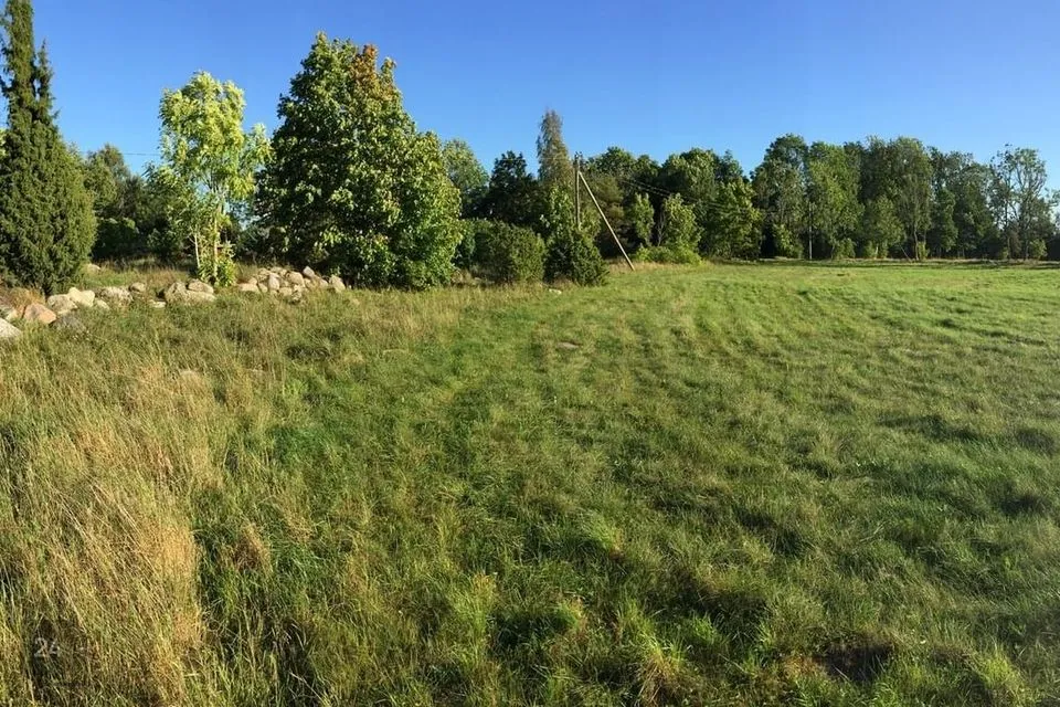 Maatulundusmaa, 5975 m² участок в Lääneranna vald, Raespa küla - фото 4
