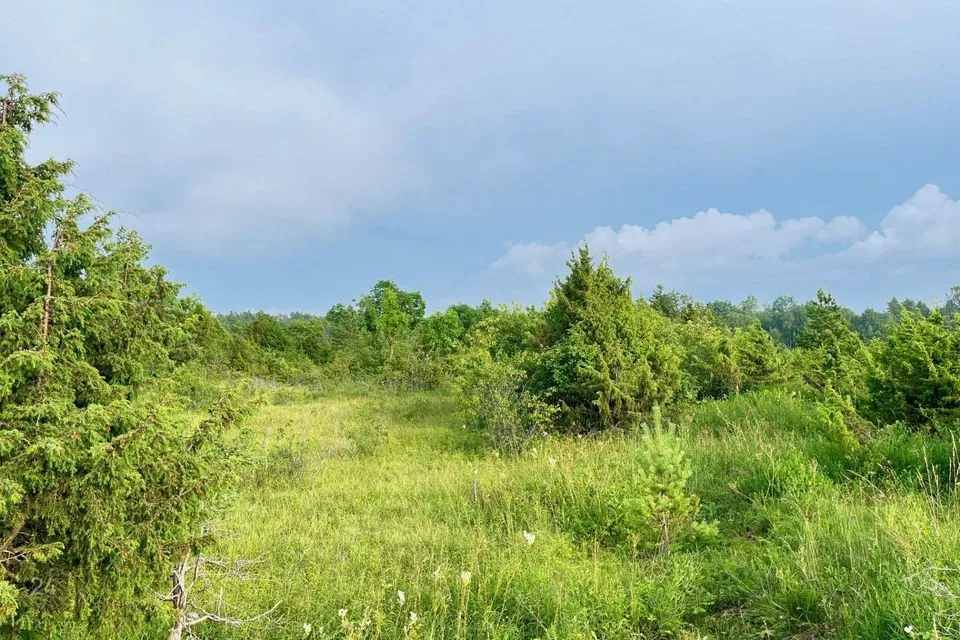 Elamumaa, 9674 m² Maa  -  Lääne-Harju vald, Madise küla