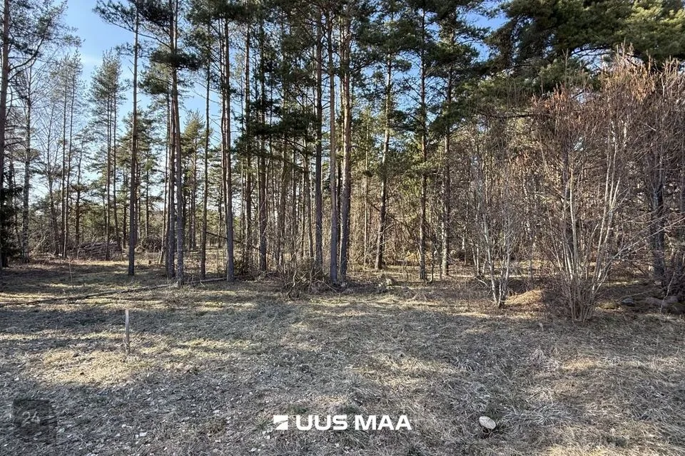 Elamumaa, 4905 m² Maa - Saaremaa vald, Laugu küla - foto 2