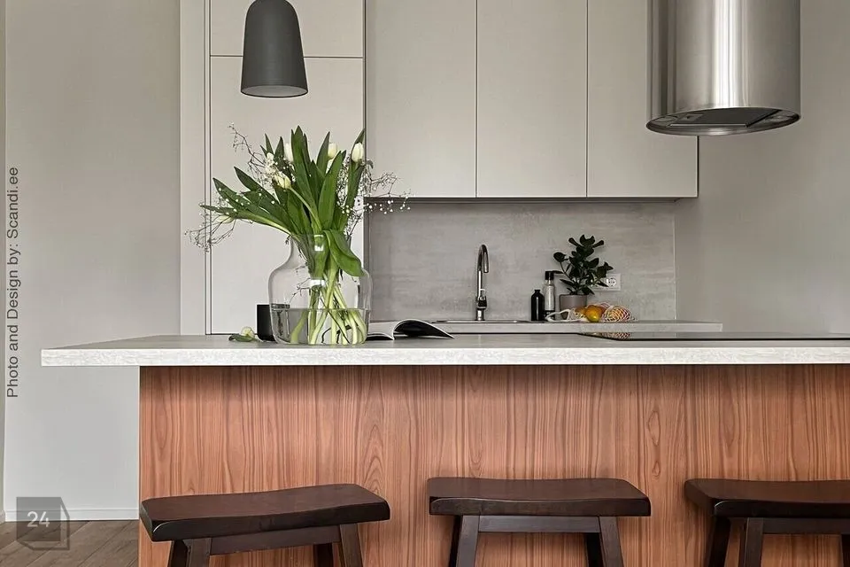 2-toaline Korter  -  Tallinn, Kesklinna linnaosa - foto 4