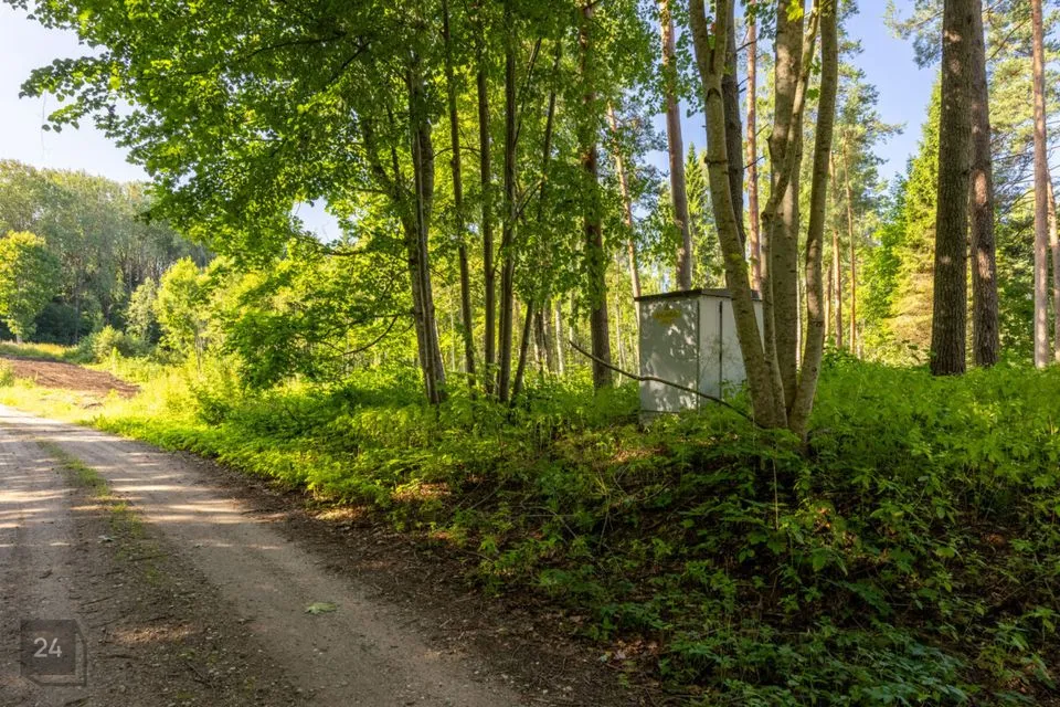 Maatulundusmaa või Ärimaa, 13512 m² Maa  -  Võru vald, Koloreino küla - foto 2