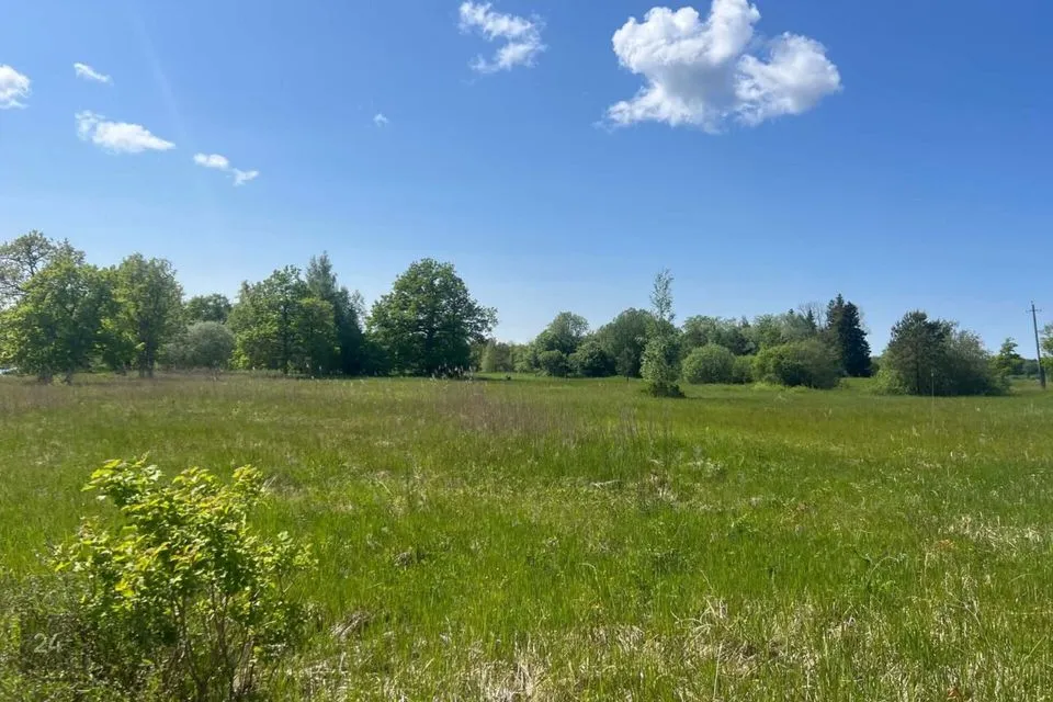 Земля жилой застройки, 2498 m² участок в Haapsalu linn, Herjava küla - фото 3