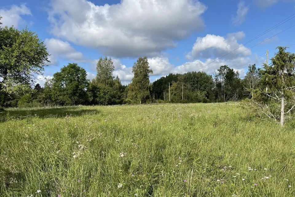 Maatulundusmaa, 26700 m² Maa  -  Saaremaa vald, Linnuse küla - foto 5