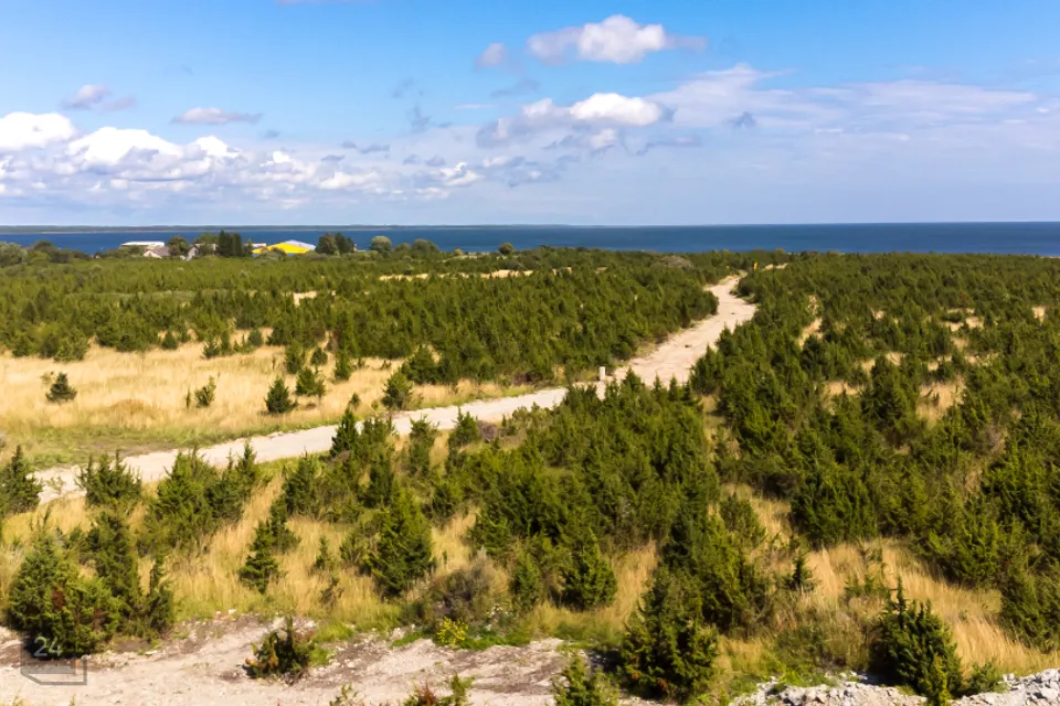 Земля жилой застройки, 6238 m² участок в Saaremaa vald, Suure-Rootsi küla - фото 4