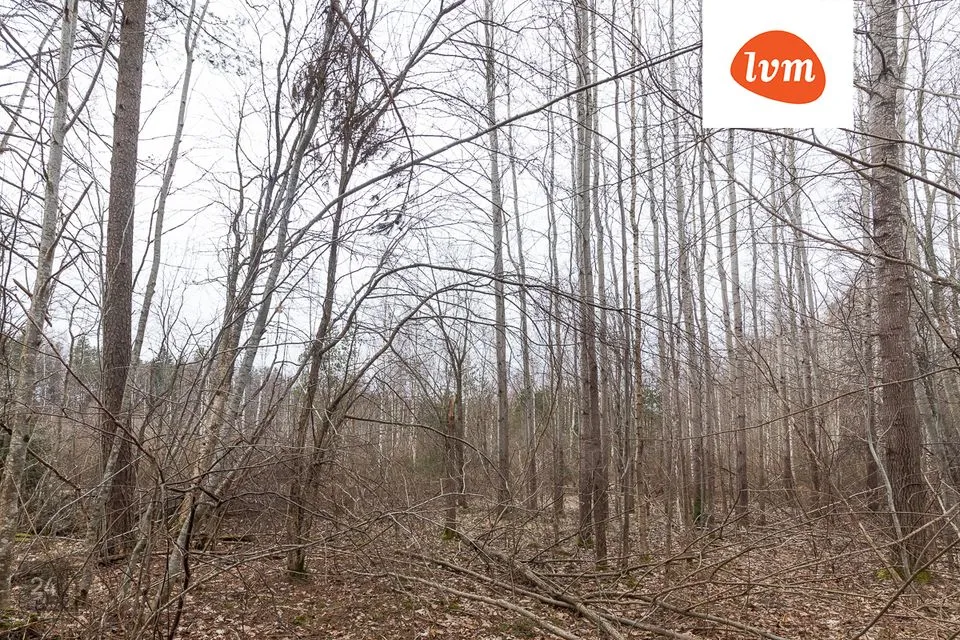 Elamumaa, 24057 m² Maa  -  Saarde vald, Kilingi-Nõmme linn - foto 3