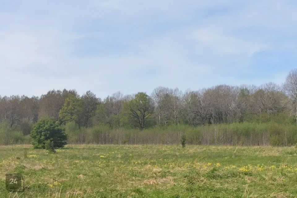 Cultivated land, 16315 m² land in Lääne-Nigula vald, Kuijõe küla - photo 2