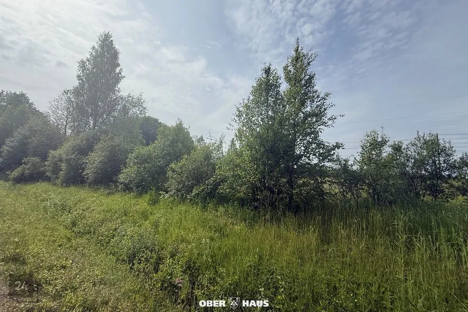 9994 m² Maa - Alutaguse vald, Jaama küla - foto 5