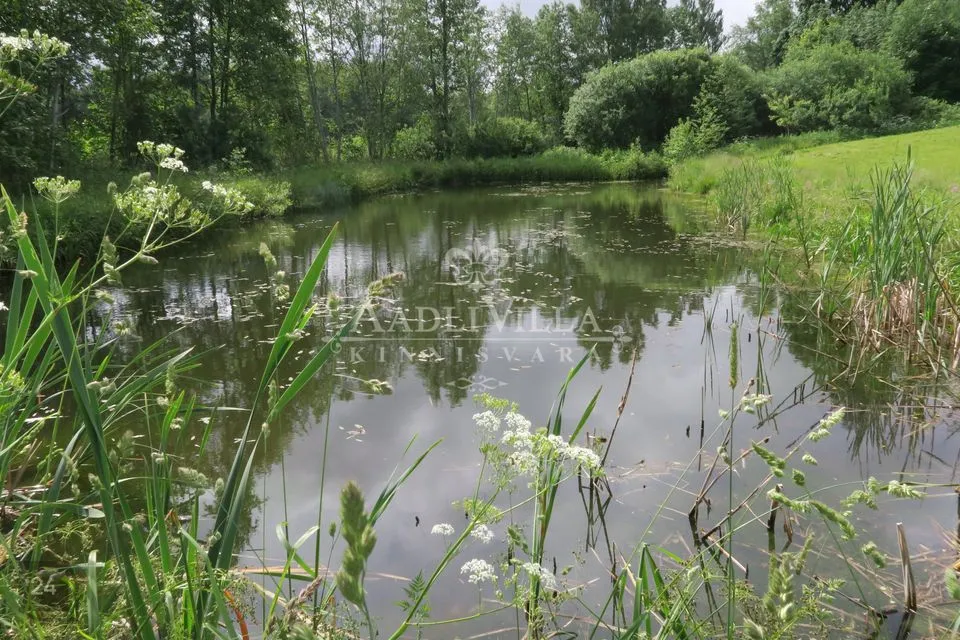 4-toaline Maja  -  Peipsiääre vald, Lümati küla - foto 4