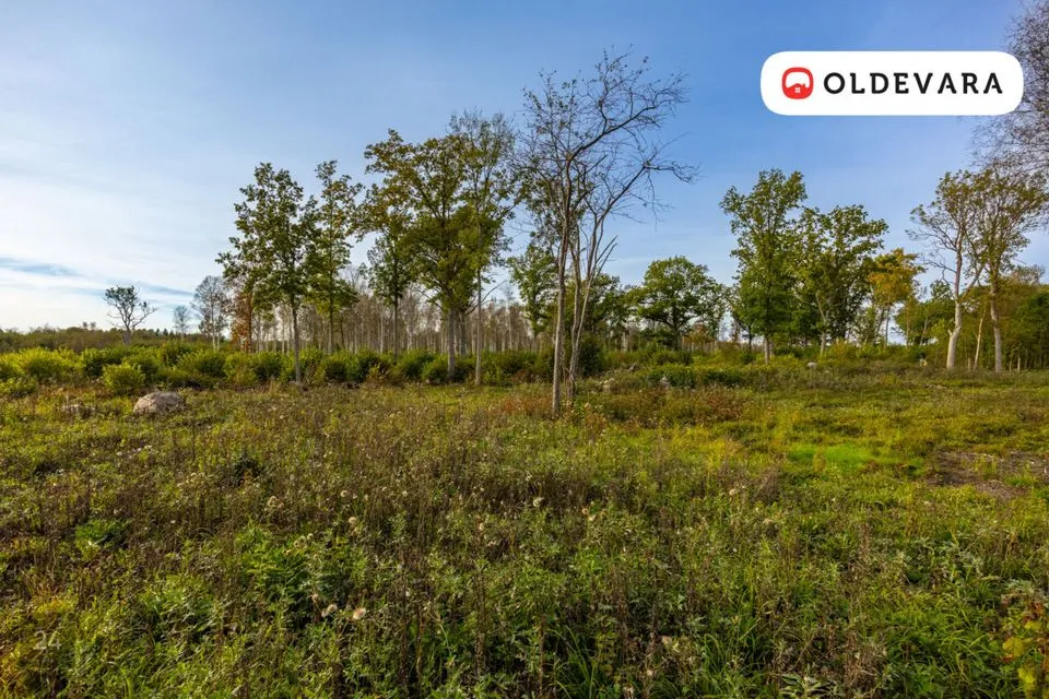 Maatulundusmaa, 11270 m² Maa - Haapsalu linn, Laheva küla - foto 3