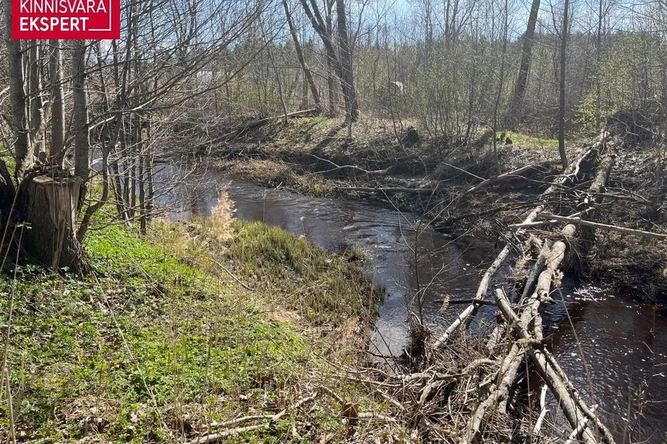 257 m² Maja  -  Pärnu linn, Audru alevik - foto 3